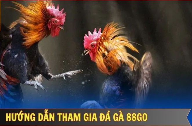 Các trường gà nổi bật tại 88go